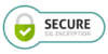 ssl-secure-website